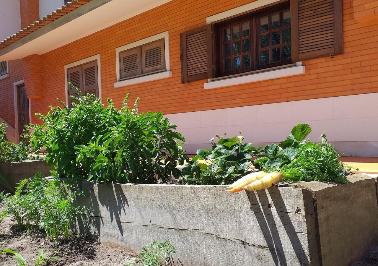 Greenside Of Sea Corujeira Exterior foto